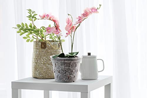 Yikush Orchid Pots With Holes Clear Orchid Pot Plastic Plant Pot Flower Pots Outdoor And Indoor Use 4.5 Inch 10Pack #TOP7