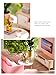 Kisoy Romantic and Cute Dollhouse Miniature DIY House Kit Creative Room Perfect DIY Gift for Friends, Lovers and Families (Warm The Heart of Life)