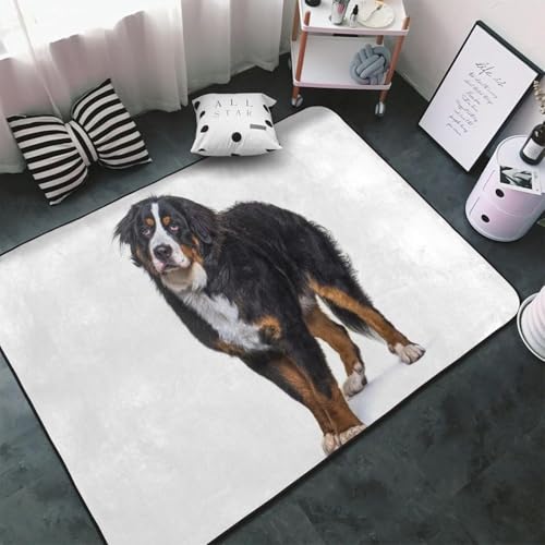 �o�[�j�[�Y�}�E���e���h�b�O ���� (3) �J�[�y�b�g �����` ���O �ėp �h�_�j �R�� �h�L �ӂ���Ǝ�G�� �l�C ���g�[�Ή� �􂦂� ����~�ߕt ������� �v���[���g 100 × 150 cm EF61