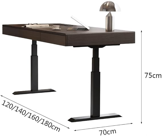 Office Desk Height Adjustable Electric Desk, Sit Stand Up, Modern Liftable Standing PC Workstation for Home Office,Small