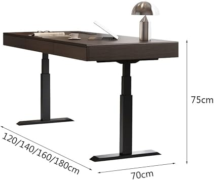 Office Desk Height Adjustable Electric Desk, Sit Stand Up, Modern Liftable Standing PC Workstation for Home Office,Small