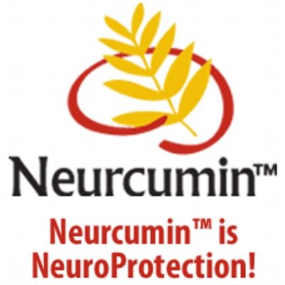 Neurcumin Dietary Brain Supplement - Multi Level Brain Vitamins - Support For Brain Booster & Cognitive Function - Nootropics Brain Support Supplement With 95% Curcuminoids & Bioperine - 90 Capsules #TOP2