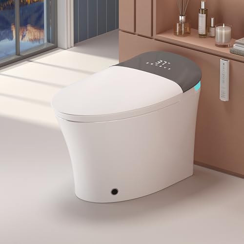 WinZo Smart Elongated Toilet with Bidet and Features