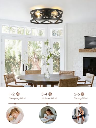 Image of 20 Inch Caged Ceiling Fan Light with Remote, Black Flush Mount Bladeless