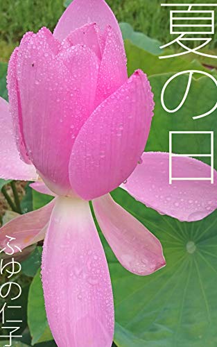 natsuno-hi (BL) (Japanese Edition)