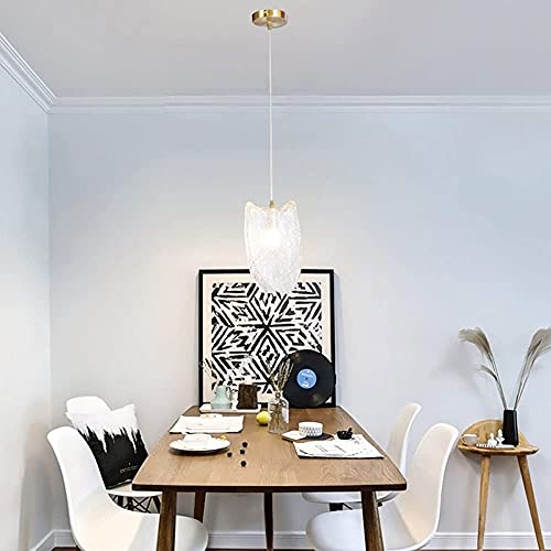 Lámpara colgante de vidrio con cable ajustable para techos de salón 4