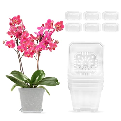 Maceta Orquidea 6 Pieza Macetas Plastico 10cm Macetas Pequeñas Y Plato Agujeros De Drenaje Macetero Transparente Para Orquídeas Para Interior E Maceta Orquidea 6 Pieza Macetas Plastico 10cm Macetas Pequeñas Y Plato Agujeros De Drenaje Macetero Transparente Para Orquídeas Para Interior E