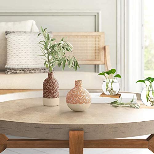 Kingbuy Desktop Glass Planter With Retro Wooden Stand Plant Terrarium For Indoor Office Decor Accessories — 2 Oblate And 3 Bulb Vases #TOP3