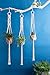 Mkono Macrame Plant Hangers Set of 3 Indoor Wall Hanging Planter Basket Flower Pot Holder Boho Home Decor 39 Inch, Ivory