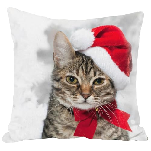 SPXUBZ Christmas Throw Pillow Cover Winter Holiday Cat with Red Santa's Hat Square Pillowcase Home Decor Cushion for Sofa Bed Chair Couch 18x18 Inch (Two Sides Print)