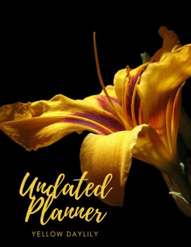 Yellow Daylily Undated Planner: The Yellow Daylily with 2 years plans and 24 months with Flexible Glossy Cover