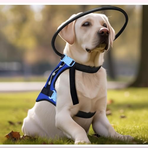Harnais pour chien aveugle ergonomique avec ajustement réglable premium - 3