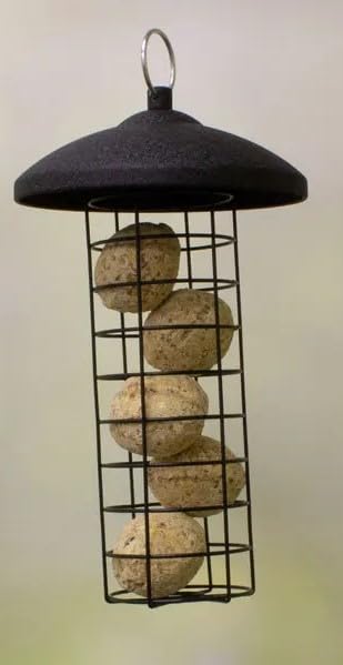 Leagrams Black Steel Fat Ball Feeder - Large and Small (Black, Large)