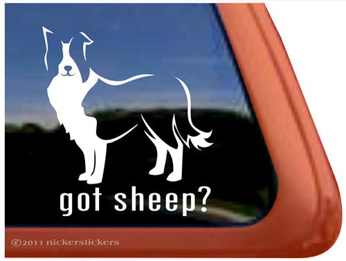 Got Sheep? Border Collie Dog Vinyl Window Auto Decal Sticker