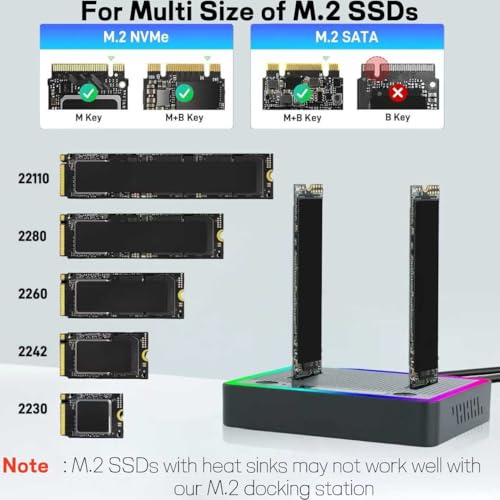 M.2 NVMe SATA SSD Cloner Dock con USB 3.2 Gen 2X2 miniatura 3