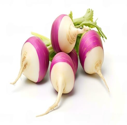 Fresh 100pcs White Pink Turnip Vegetable Seeds