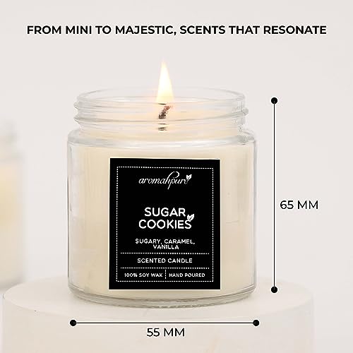 Aromahpure Scented Candles (55 Hours) (100% Soy Wax)- Handcrafted | Smoke-Free | Sweet Cinnamon- Cinnamon & Woody, Sugar Cookies- Sugary, Caramel & Vanilla Fragrance Candles for Home, IFRA Certified