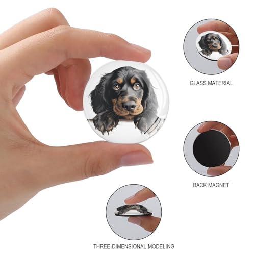 Imanes de animales de vidrio resistente con diseño de Gordon Setter 3