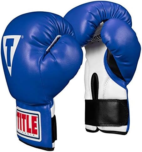 TITLE Boxing Guantes de boxeo clásicos para niños y jóvenes 2.0 - Guantes de boxeo para jóvenes, guantes de boxeo para niños, guantes de boxeo,