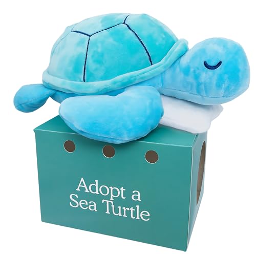 Image of Follow Your Legend Sam The Sea Turtle Plush with Pillow Accessory - 10" Adopt Me Plushies, Stuffed Turtle, Sea Turtle Stuffed Animal, Small Turtle Plush