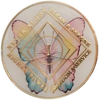 6 Year Butterfly Design NA Style Clean Time Chip White Just for Today Medallion