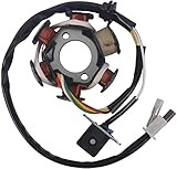 OEPUNAIKE Magneto Ignition Stator 5 wires AC 6 Poles Fits for GY6 engine 125cc 150cc Scooter Moped ATV Sunl...