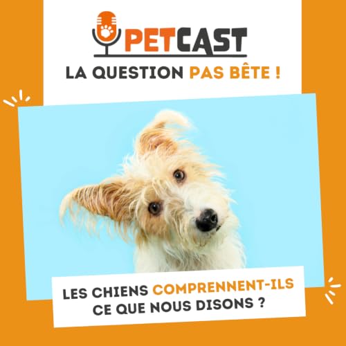 Les chiens comprennent-ils notre langage ?