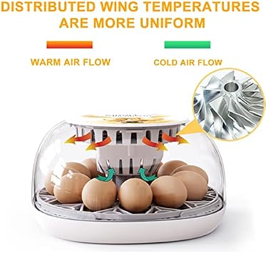 Egg Incubator for 12 Eggs - Automatic Poultry Hatcher Machine with Temperature Control and LED Candler for Hatching Chicken, Duck, Goose, Quail, Parrot, and Turkey Eggs