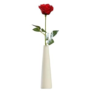 Jarrón minimalista de cristal de cerámica blanca de 22 cm de altura, decoración de escritorio, hogar, oficina, jarrón único para decoración del hogar, boda, Navidad