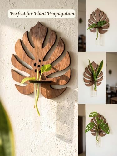 Image of Bombay Greens ; Sow, grow, eat, repeat Monstera Planter with Test Tube Wooden Holder | Indoor Planter Stand | Wooden Planter for Home Decor, Living Room, Balcony & Office Decoration - 1 Pc