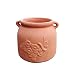 Newly Designed Heavy Hand Pressed Ancient Stressed Terra Cotta Round Flower Pot or Planter with Loop Handles Forming a Water Jug with Dragonfly Embellished Weighs 7.3 Pounds
