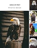 Pretty RSPB, Birds Of Prey Photo Album Book: 2024 Animal Photo Picture Book Fantastic Photobook For All Ages With 30+ High Quality Images Christmas ... All Ages To Relieve Stress And Get Creative