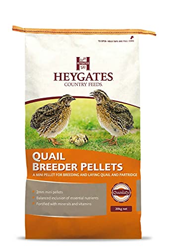 Heygates quaglia & Partridge Costitutore/strati