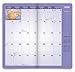 Yoga Kittens OFFICIAL | 2026-2027 3.5 x 6.5 Inch Two Year Monthly Pocket Planner Calendar | BrownTrout | Animals Humor Cats Feline Pets