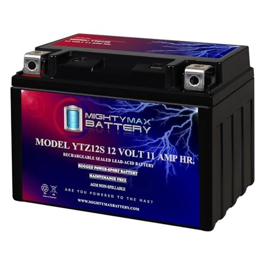 Mighty Max Battery YTZ12S 12V 11AH Battery for Honda 250 NSS250 Reflex 2001-2009