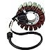 Replace 5PW-81410-00-00 YINNCKE Magneto Ignition Stator Fits for Yamaha YZF R1 2002 2003 5PW-81410-01-00
