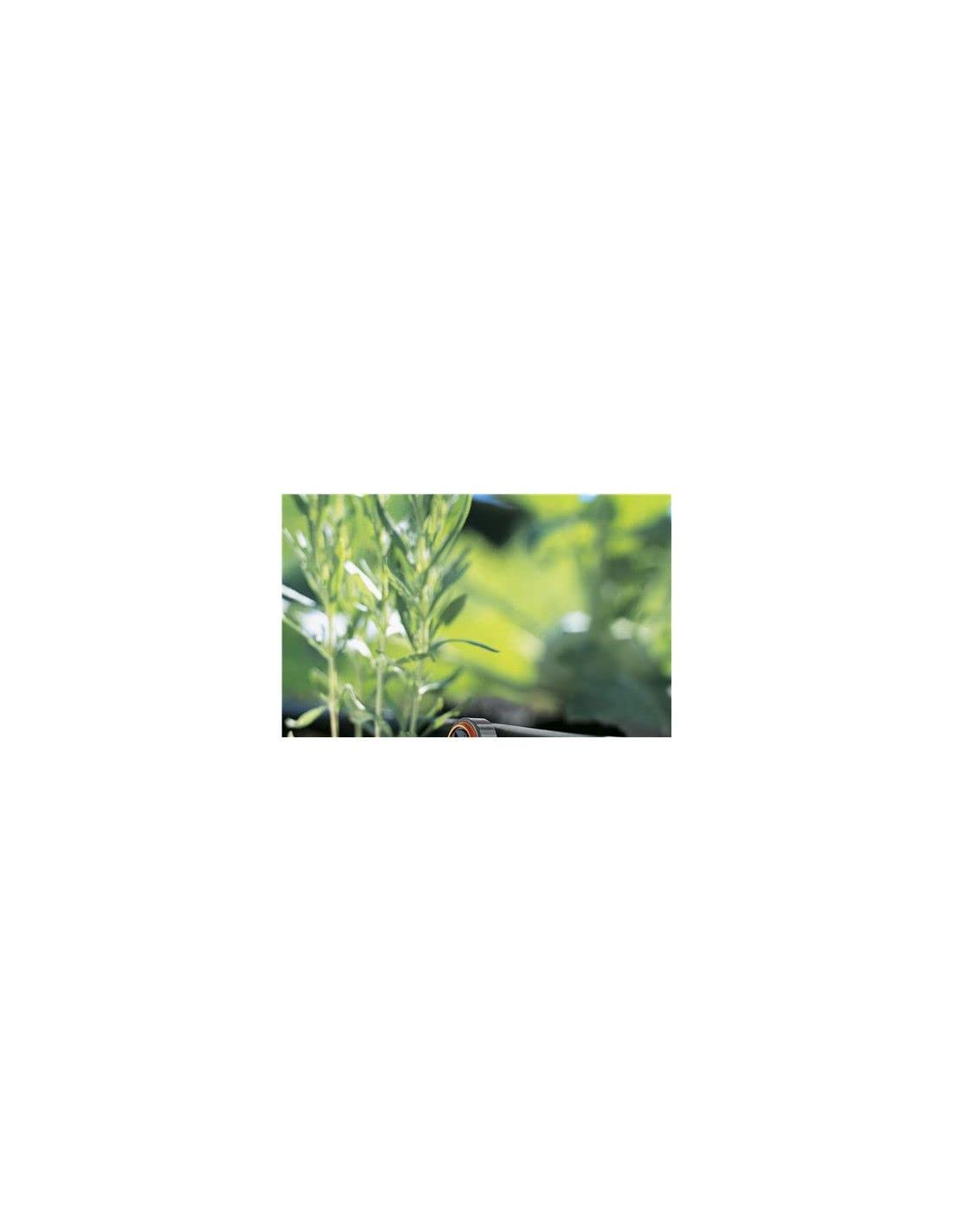 Gardena 831029 Goutteur régulateur de pression fin de ligne 2 L/H, Orange , 10 pièces