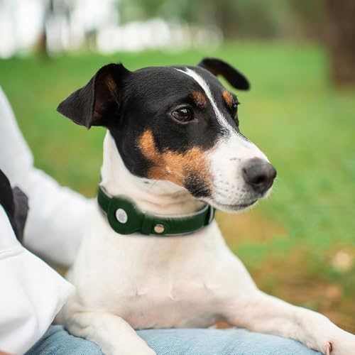 OOPSDOGGY Reflective Geniune Leather Airtag Dog Collar Soft Padded Collars for Small Medium Large Breed Dogs Puppy, 4 Sizes, 7 Colors (Green, XLarge, 19"-24") by OOPSDOGGY - Image 7