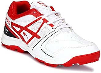 ASE Men's Professional Cricket Shoes