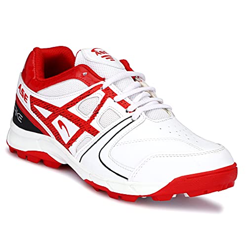 ASE Men's Professional Cricket Shoes