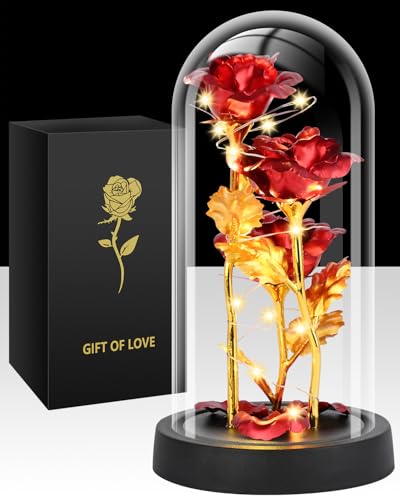 Tayfeim Valentines Day Rose Gifts for Her, Womens Gift for Birthday Gifts for Women Mom Wife Girlfriend, Light Up Rose in A Glass Dome, Rose Gifts for Valentines, Mothers Day, Womens Day (Red)