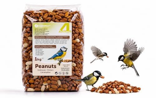 Mangime uccelli selvatici - Qualità premium - arachidi sgusciate - 1kg