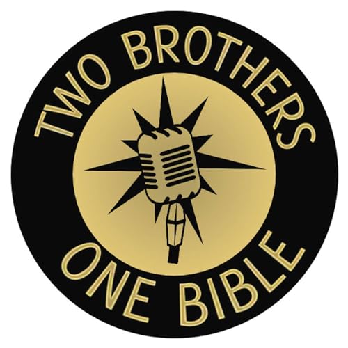Page de couverture de Two Brothers, One Bible