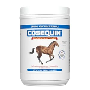 Nutramax Cosequin Original Joint Health Supplement for Horses – Powder with Glucosamine and Chondroitin, 700 Grams
