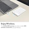 Macally USB C Wireless Number Pad | Numeric Keypad for Mac MacBook iMac | Wireless 10 Key for Laptop PC Computer Notebook Surface Chrome (2.4G USB) Perfect for Data Entry Numpad Number Keyboard