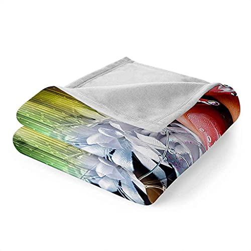 Couverture flanelle microfibre manucure pour vos soirées cocooning au salon - 7