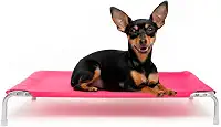 Cama Suspensa Elevada Pet para Cachorro Leve Resistente Aluminio 60x40cm Tamanho P Suporta Até 25Kg - Dogets (Azul)