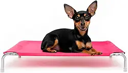 Cama Suspensa Elevada Pet para Cachorro Leve Resistente Aluminio 60x40cm Tamanho P Suporta Até 25Kg - Dogets (Azul)