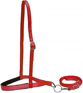 Showman RED Premium Nylon Padded Noseband and Tie Down