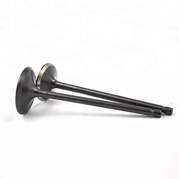 1 pc/set exhaust valve 8 13715-75100 1371575100 Compatible with TRJ120 TRH223 TRJ150 TRB53 CAIJUN-AUTO